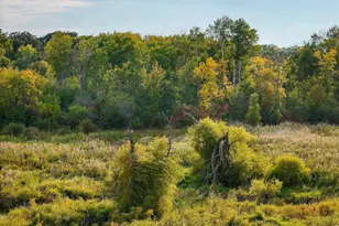 34774 400th St SE, Fosston, MN 56542 - Photo 30