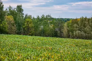 34774 400th St SE, Fosston, MN 56542 - Photo 24