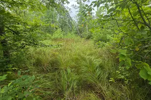 8771 Deer Ln, Ojibwa, WI 54862 - Photo 12