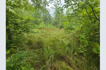 8771 Deer Lane, Ojibwa, WI 54862 - Photo 12