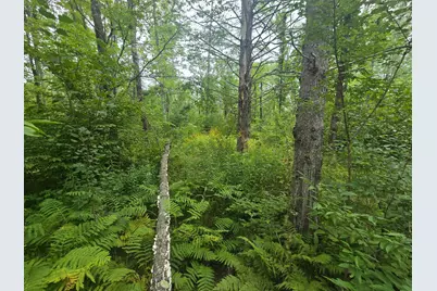 8771 Deer Lane, Ojibwa, WI 54862 - Photo 10