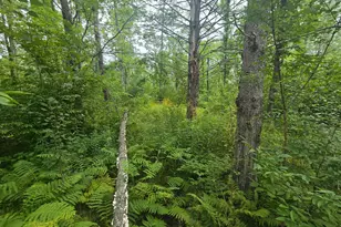 8771 Deer Ln, Ojibwa, WI 54862 - Photo 10