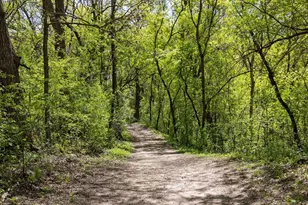 72 River Woods Ln, Burnsville, MN 55337 - Photo 32