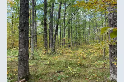 14331 395th Lane, Salo Twp, MN 55787 - Photo 40