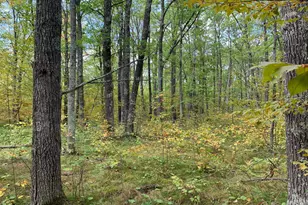 14331 395th Ln, Salo Twp, MN 55787 - Photo 40