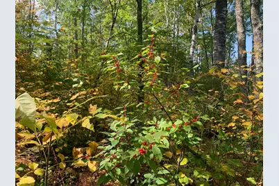 14331 395th Lane, Salo Twp, MN 55787 - Photo 16