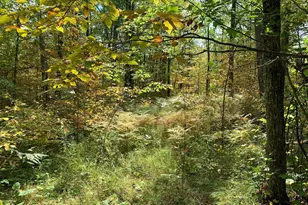 14331 395th Ln, Salo Twp, MN 55787 - Photo 14