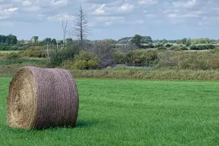 14331 395th Ln, Salo Twp, MN 55787 - Photo 20