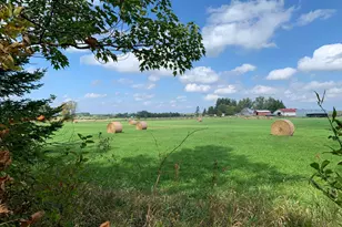 14331 395th Ln, Salo Twp, MN 55787 - Photo 4