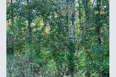 14331 395th Lane, Salo Twp, MN 55787 - Photo 42