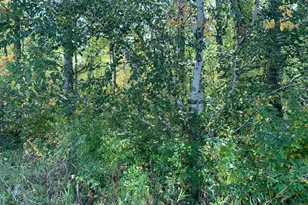 14331 395th Ln, Salo Twp, MN 55787 - Photo 42