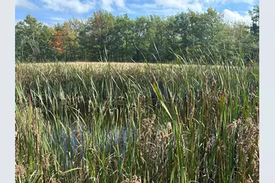 14331 395th Lane, Salo Twp, MN 55787 - Photo 52