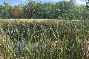 14331 395th Ln, Salo Twp, MN 55787 - Photo 52