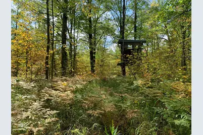 14331 395th Lane, Salo Twp, MN 55787 - Photo 2