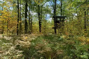 14331 395th Ln, Salo Twp, MN 55787 - Photo 2