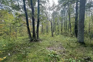 14331 395th Ln, Salo Twp, MN 55787 - Photo 18