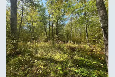 14331 395th Lane, Salo Twp, MN 55787 - Photo 56