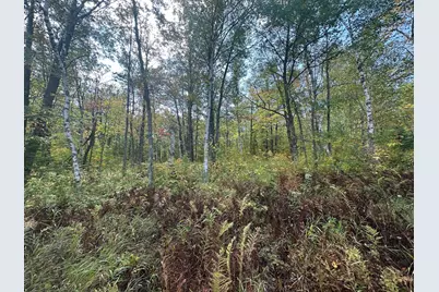 14331 395th Lane, Salo Twp, MN 55787 - Photo 54