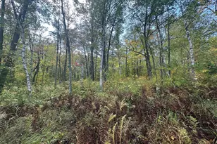 14331 395th Ln, Salo Twp, MN 55787 - Photo 54