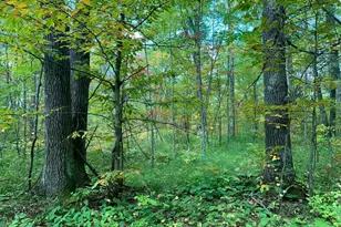 14331 395th Ln, Salo Twp, MN 55787 - Photo 38