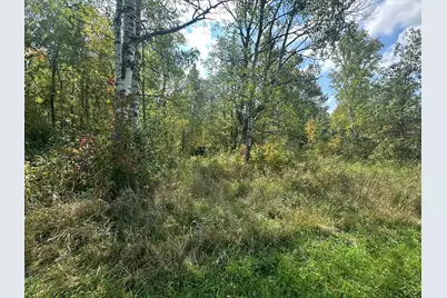 14331 395th Lane, Salo Twp, MN 55787 - Photo 62