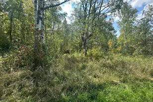 14331 395th Ln, Salo Twp, MN 55787 - Photo 62