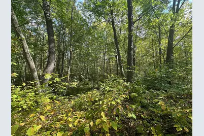 14331 395th Lane, Salo Twp, MN 55787 - Photo 58