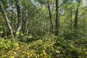 14331 395th Ln, Salo Twp, MN 55787 - Photo 58