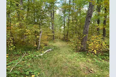 14331 395th Lane, Salo Twp, MN 55787 - Photo 12