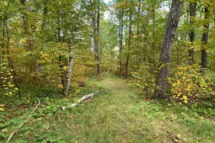 14331 395th Ln, Salo Twp, MN 55787 - Photo 12