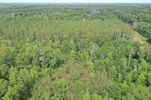 29031 French Rd, Oakland, WI 54830 - Photo 28