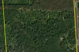 29031 French Rd, Oakland, WI 54830 - Photo 6