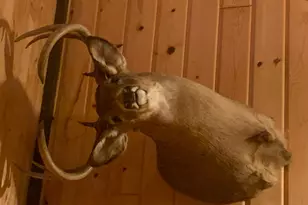 29031 French Rd, Oakland, WI 54830 - Photo 34