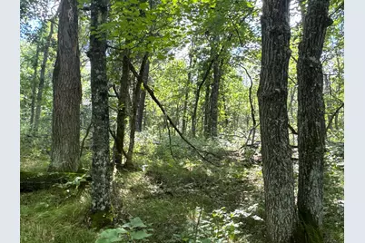 29031 French Road, Oakland, WI 54830 - Photo 20