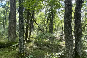 29031 French Rd, Oakland, WI 54830 - Photo 20