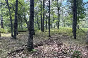 Tbd French Rd, Oakland, WI 54830 - Photo 1