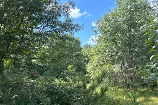 Tbd 4 Hayden Lake Rd, Oakland, WI 54830 - Photo 1