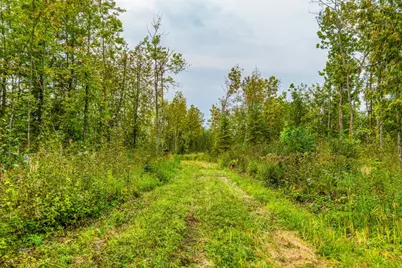12479 Battle Road NE, Blackduck, MN 56630 - Photo 4