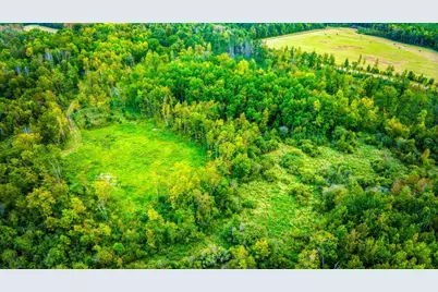 12479 Battle Road NE, Blackduck, MN 56630 - Photo 16