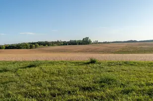 41474 460th St, Perham, MN 56573 - Photo 18