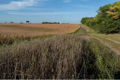 41474 460th Street, Perham, MN 56573 - Photo 16