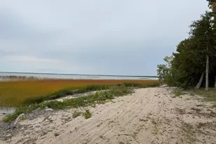 53401 Arbor Ridge Road NE, Waskish Township, MN 56685 - Photo 14