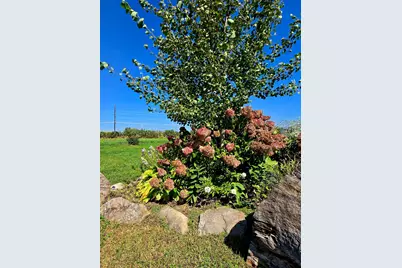 16385 310th Street, Shafer Twp, MN 55012 - Photo 40