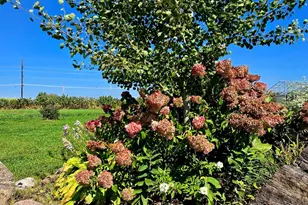 16385 310th St, Shafer Twp, MN 55012 - Photo 40