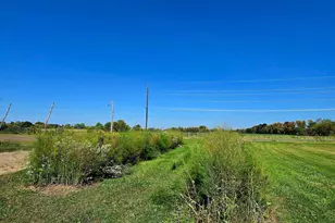 16385 310th St, Shafer Twp, MN 55012 - Photo 42