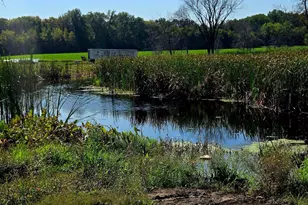 16385 310th St, Shafer Twp, MN 55012 - Photo 34