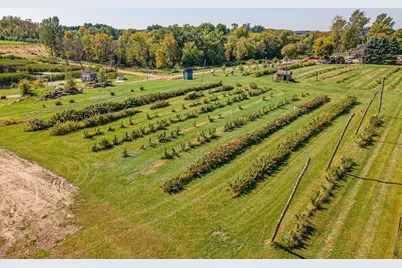 16385 310th Street, Shafer Twp, MN 55012 - Photo 82