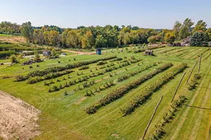 16385 310th St, Shafer Twp, MN 55012 - Photo 82