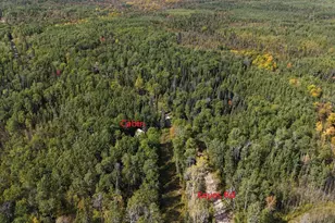 12012 Keyes Rd, Orr, MN 55771 - Photo 1