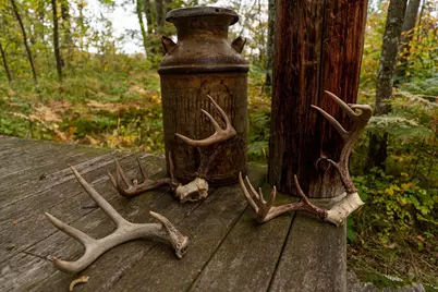 Tbd-200Ac 250th Avenue, Ann Lake Township, MN 55051 - Photo 1